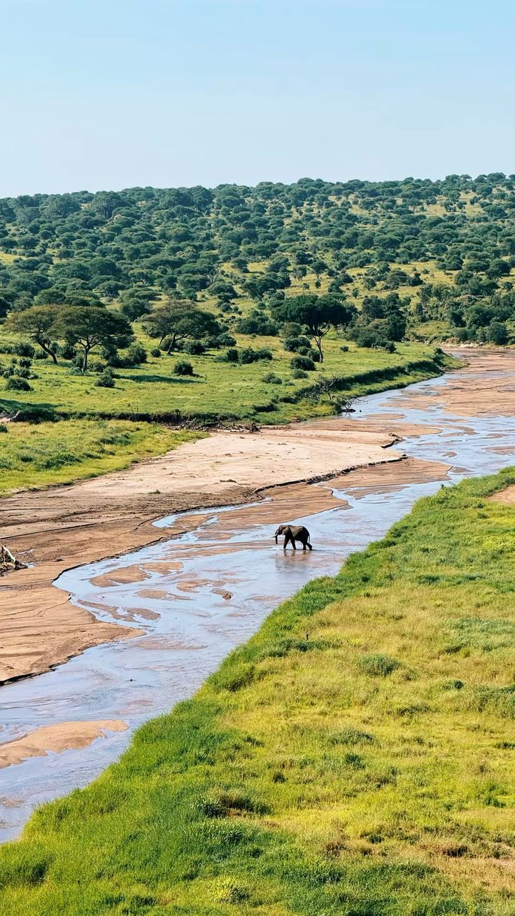 Ngorongoro Crater